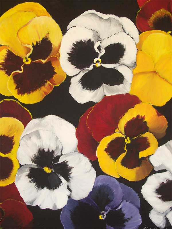 Pansies